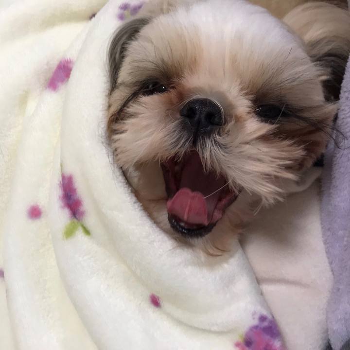 40541e99 0562 4b36 bb69 1bce5fe375ec 1580096476335