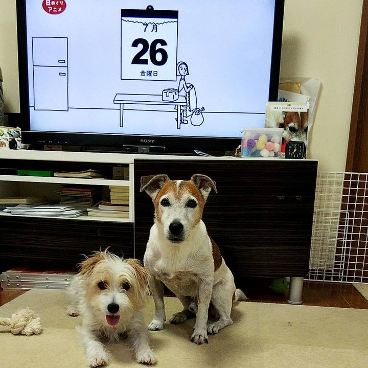 40544675 ba90 4bed 9ba4 77bc9b701d40 1564092489347