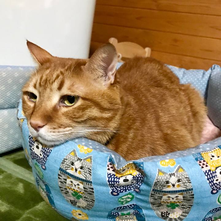 405474bb cb51 4ce3 bd68 7797cf3cee90 1512734035347