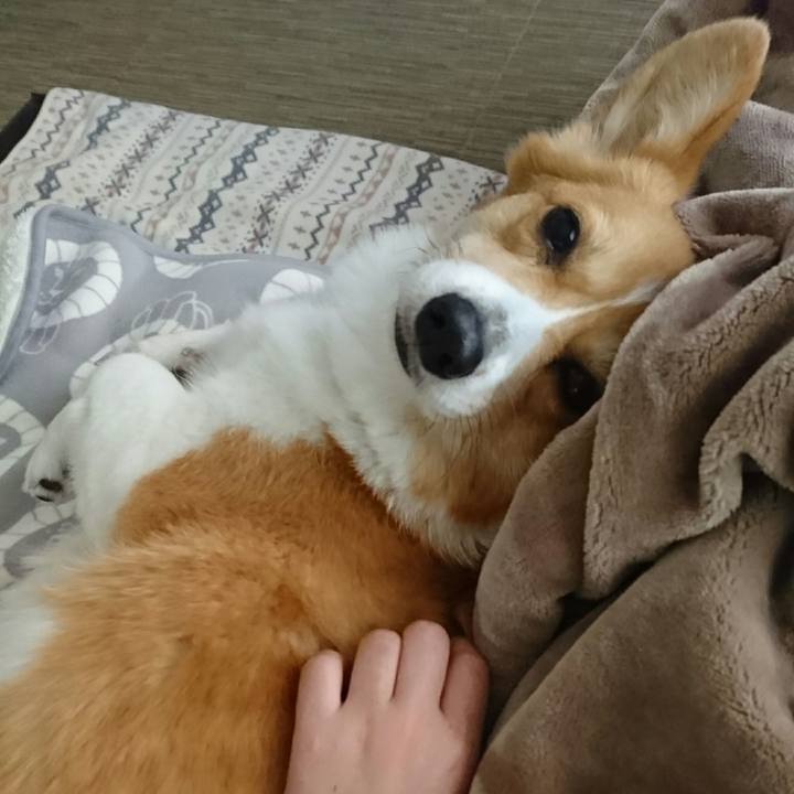 4054976d af95 44a2 9263 83f08a770fe9 1545879715789