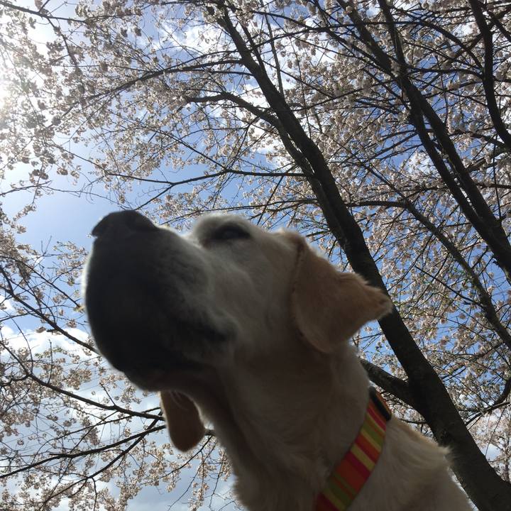 405505fc d250 48c3 8717 2da45434077a 1581854297753