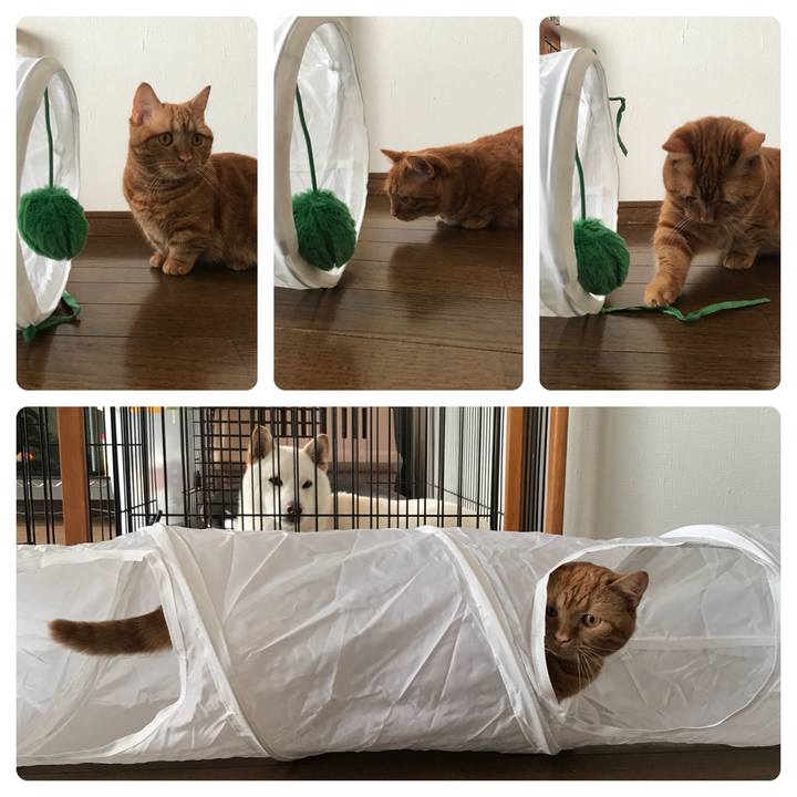 40552ffd 1fdd 462c abd0 228e4c55cc99 1530682623107