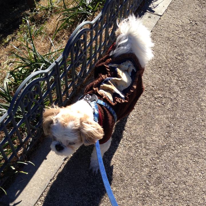 405533c4 05c1 41de b6c5 c69305e64932 1515622094047