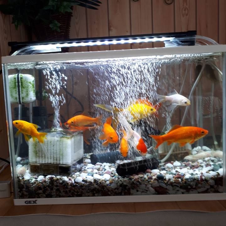 405545fa 01a7 44e6 8132 1e3de1b1eeb1 1518402999817