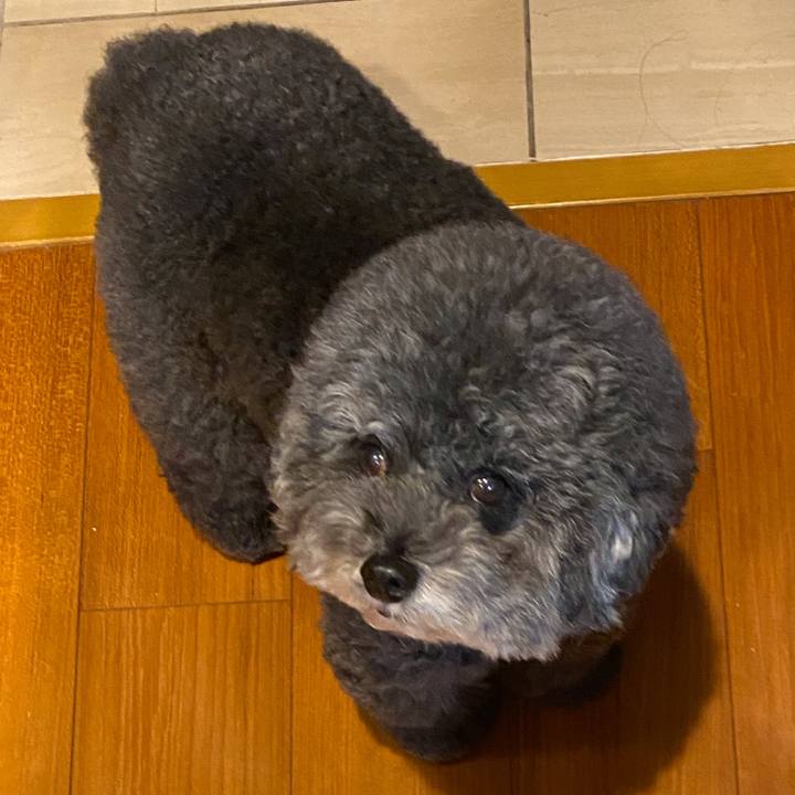 40554722 65b8 4b81 8544 ef439036ad2b 1633575908904