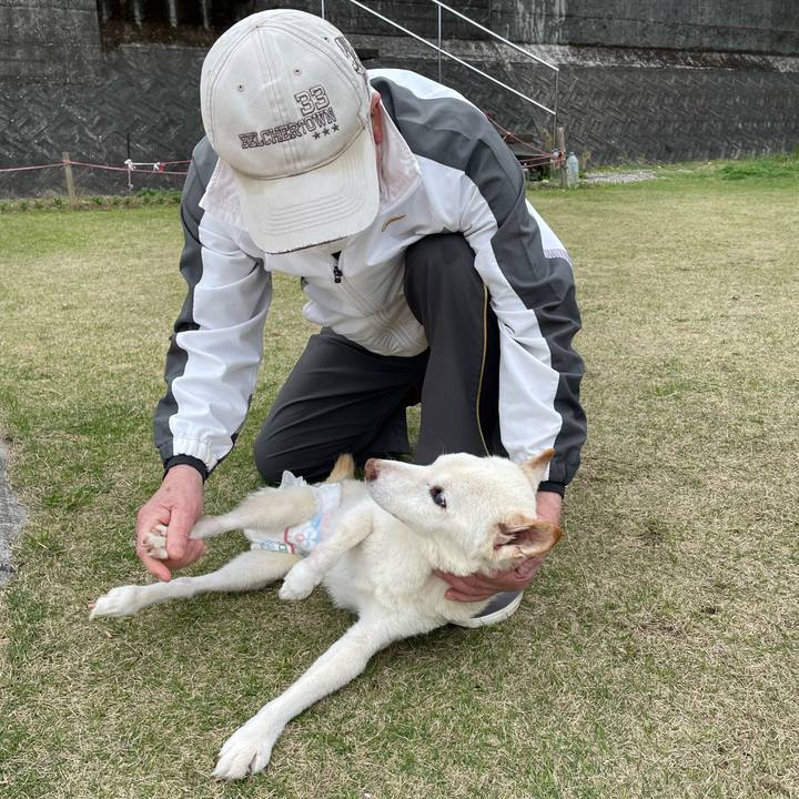 405571b7 48b6 4517 b76f 07e7bf6494e0 1679478932972