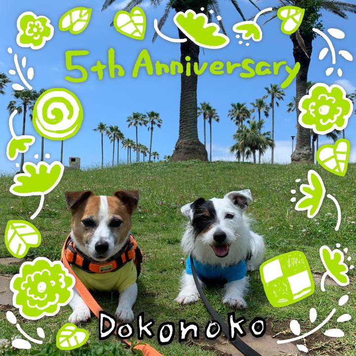 4055997f 5c10 41a4 a629 ab2c2aec3149 1622859698257