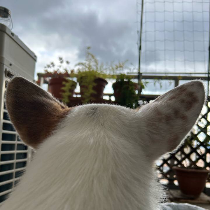 40563a79 6c17 44f9 b83e 8f636a60749f 1768889715653