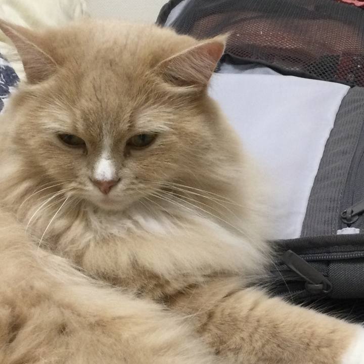 4056bfb2 93ae 4329 a8a7 b39d08ca391b 1664627770687