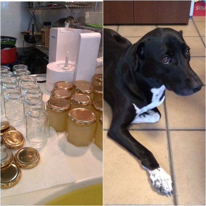 4056f161 068d 4deb abbe 3c6c137b104a 1597631983638