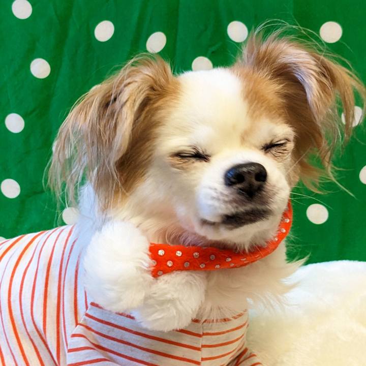 40572ff1 7df4 48c8 abe0 e328e42ffdbd 1671977944832