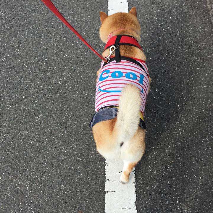 40574685 0207 4404 aefb a1a0af237605 1596412246641