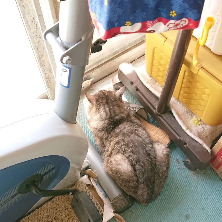 405766d8 98ad 4ba2 b893 63e9b3e82f90 1566103480890