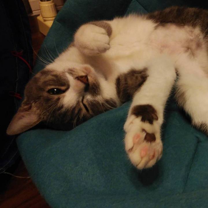 405777f1 5479 4e5b 81c1 25cd10702969 1586348907374