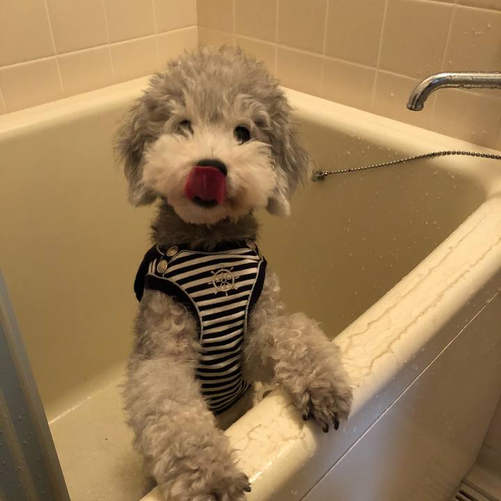 4057a143 08cc 46c0 a0fb 5643f3c974e1 1532905462244