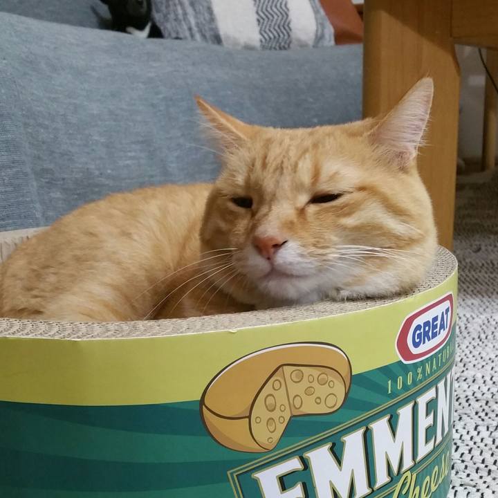 4057be96 7b6d 4b93 91dd 170f5222e3de 1567684444104