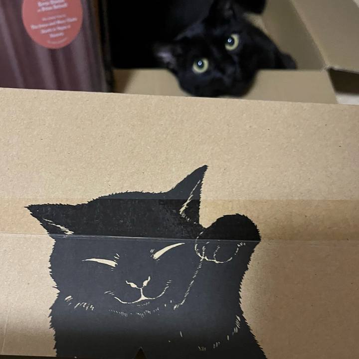 4057bfdc ed11 4347 b9c3 5b6e59957d47 1752705160006