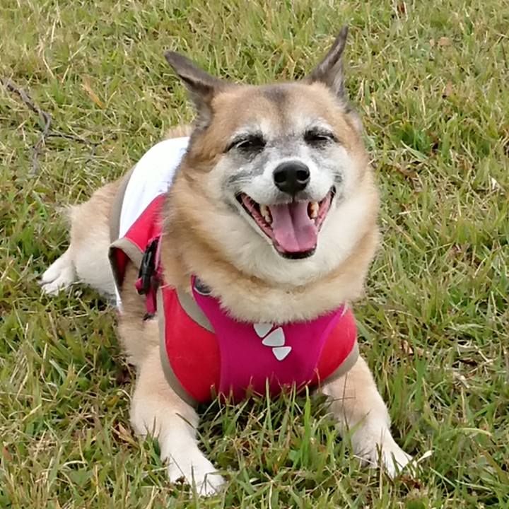 4057c3c5 a8ad 4213 a189 21100eb201f3 1536889412873