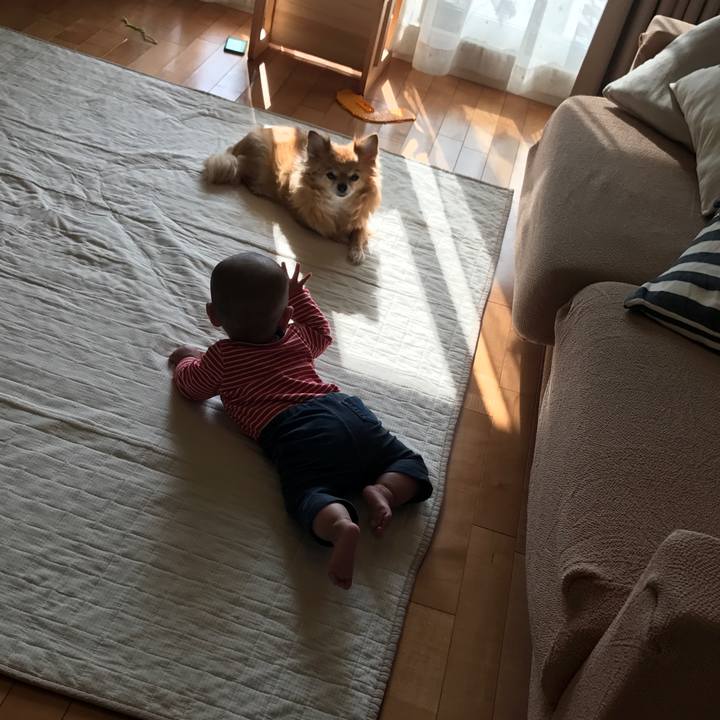 4057c81a 24e2 453c b4c0 d62240121fa5 1524639216185