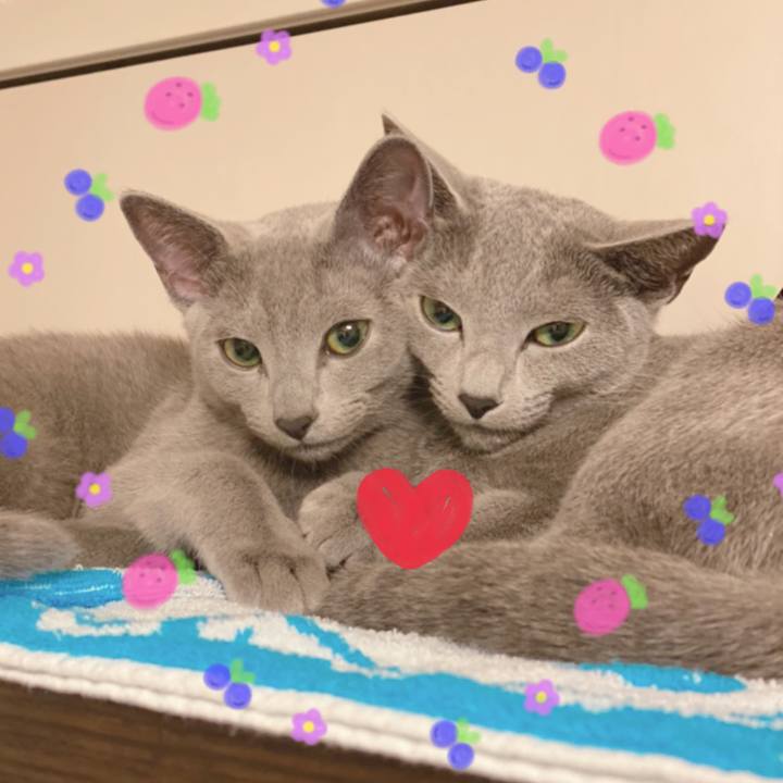 4057d08c eb9c 4d19 a68c 42fc1fc413ad 1607430981586