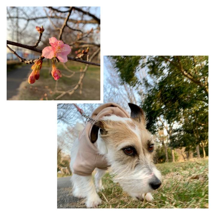 4057edbc da5b 4f15 bf36 4dc7590c5c6f 1646470511231