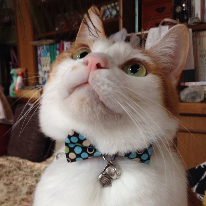 405809de cf57 4981 b23b e01ee63a3d9f 1514599322018