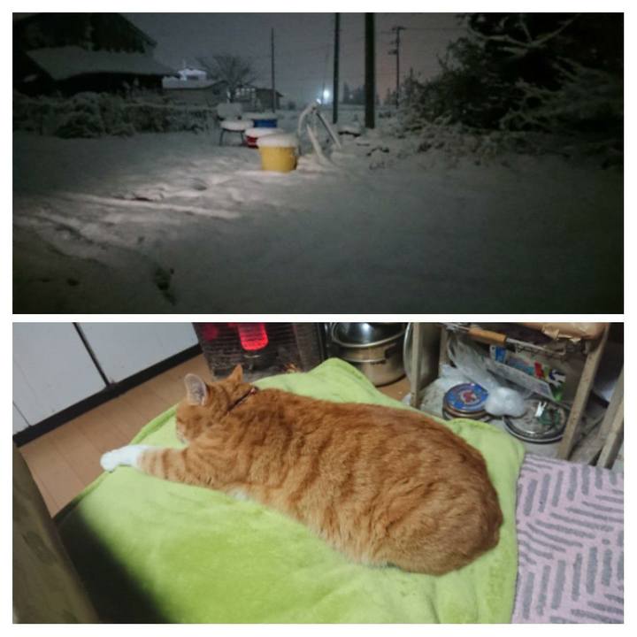 4058320f 84f7 4bca 862f ae552f66361b 1607979796954