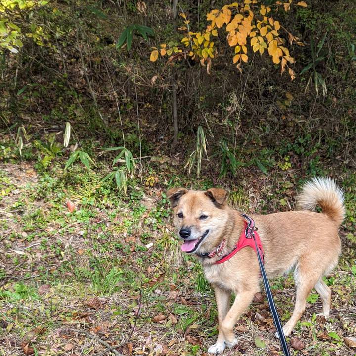 40583bad 736b 4c43 b0ed 982537f4a124 1698665464166