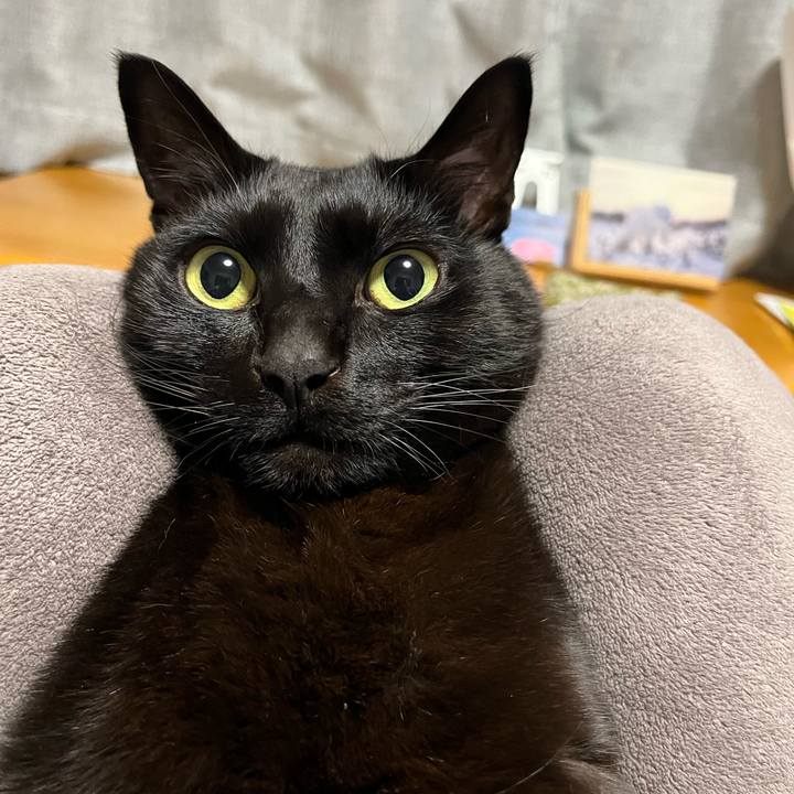 405845e4 f1a8 478d bb0a ef025113acfb 1712486100181