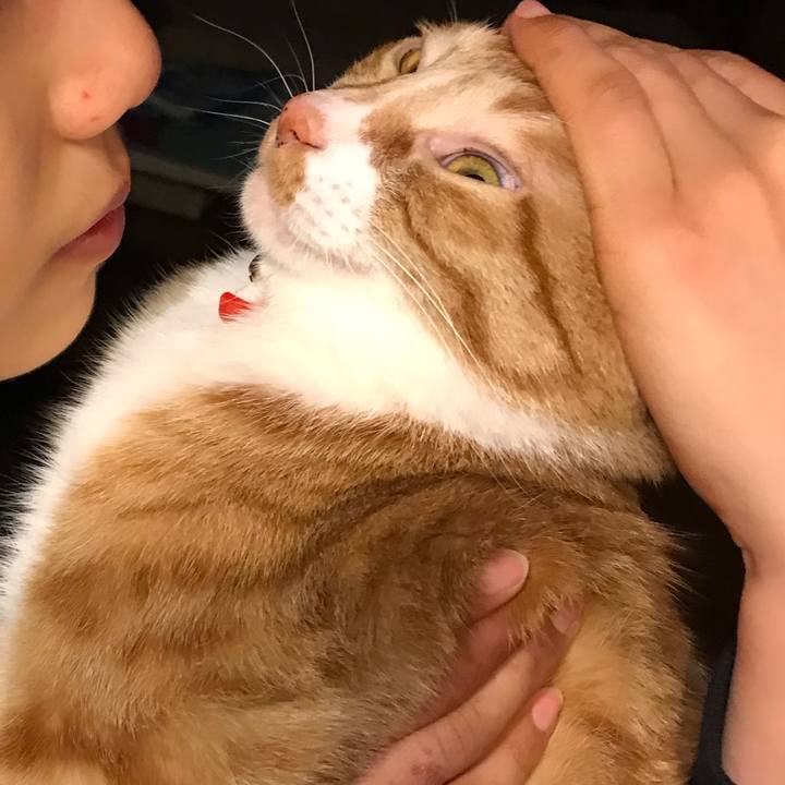 40586ec2 426c 4401 a17c 92f6d5d394fe 1552490490198