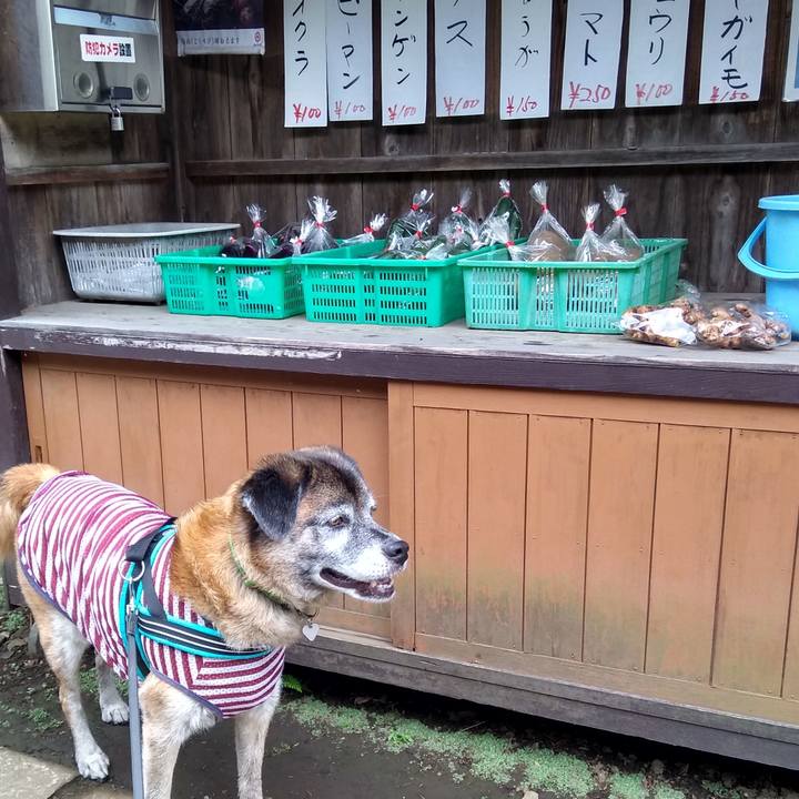 40587377 fab3 45ed b852 06542dffa545 1566776725238