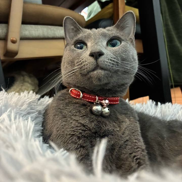 4058abb7 e7d8 4a96 988e c525194c6c00 1764492991721