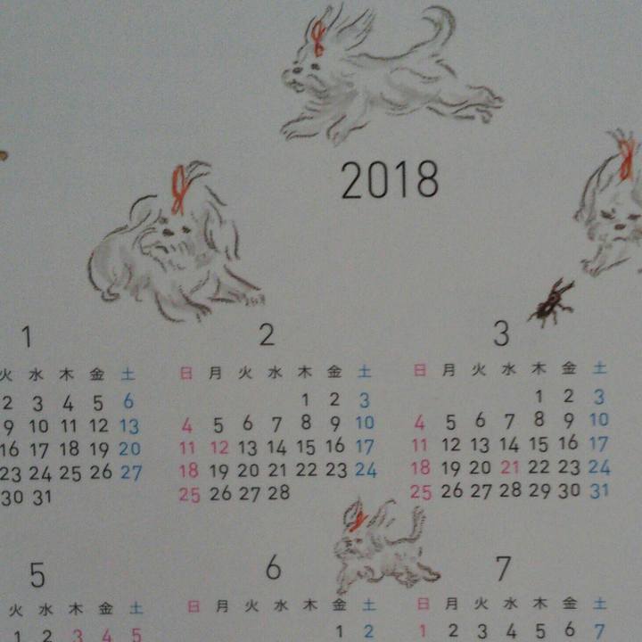 4058c2d3 2886 43ea 935e 13d9d543883a 1517542284060