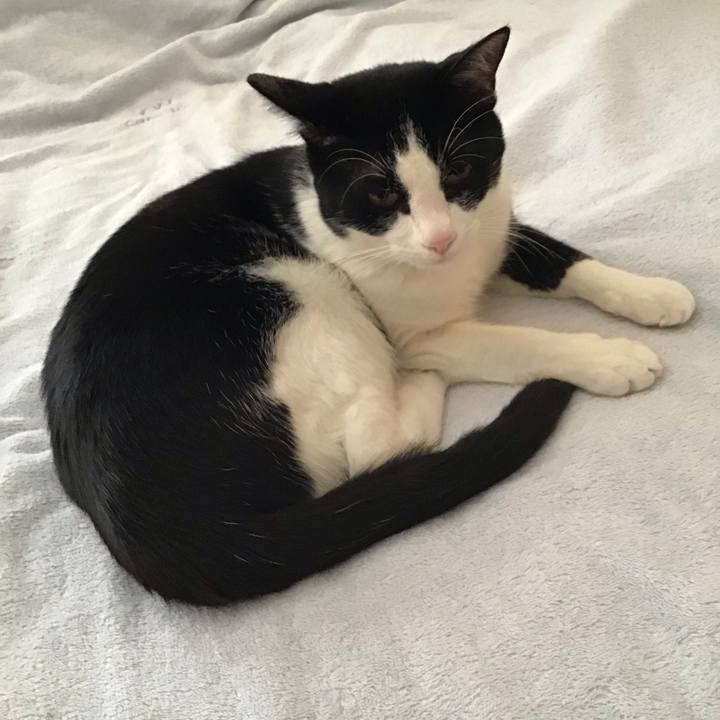 4058cd05 8271 4955 b922 7b6900f152b8 1654835980654