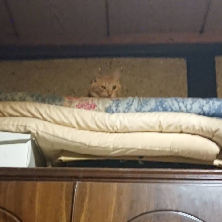 4058ce2b 3fc8 4174 a11e afdf9db5bf14 1636978904387