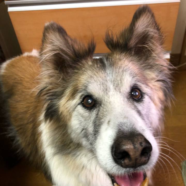 4058d77b 1b88 485e 9476 ca66789c146d 1517981774153