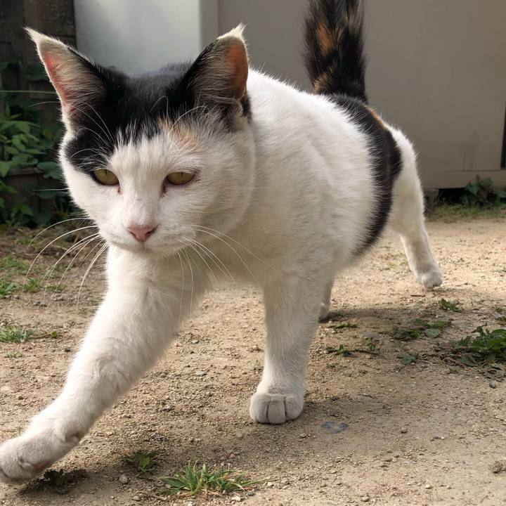 4058dd2c b118 42d7 9089 e048fd476564 1651238122087