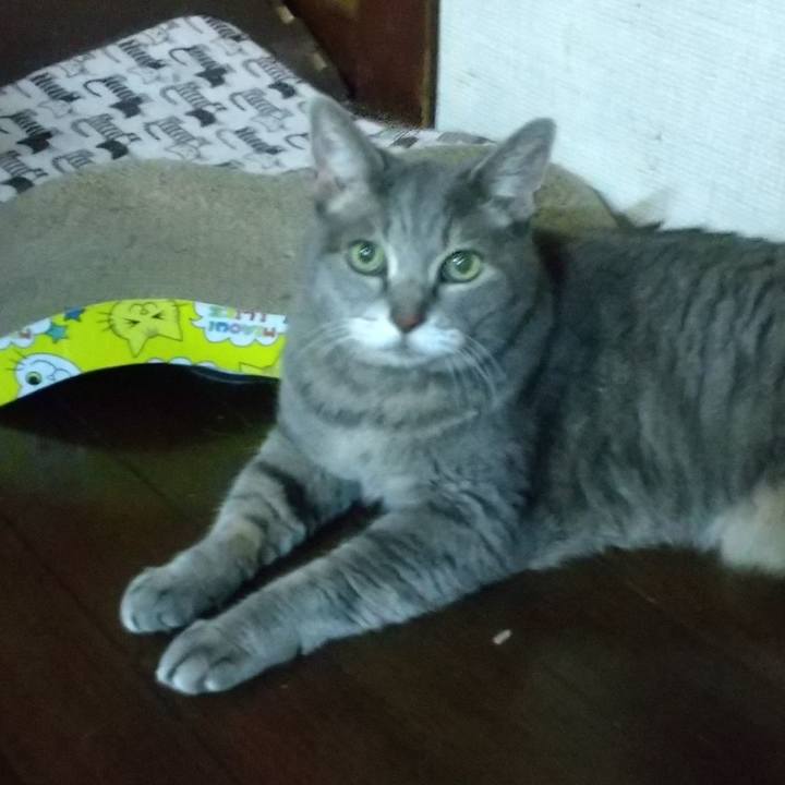 405925e8 9be4 454c 80f4 73c55294d3ee 1662545743207