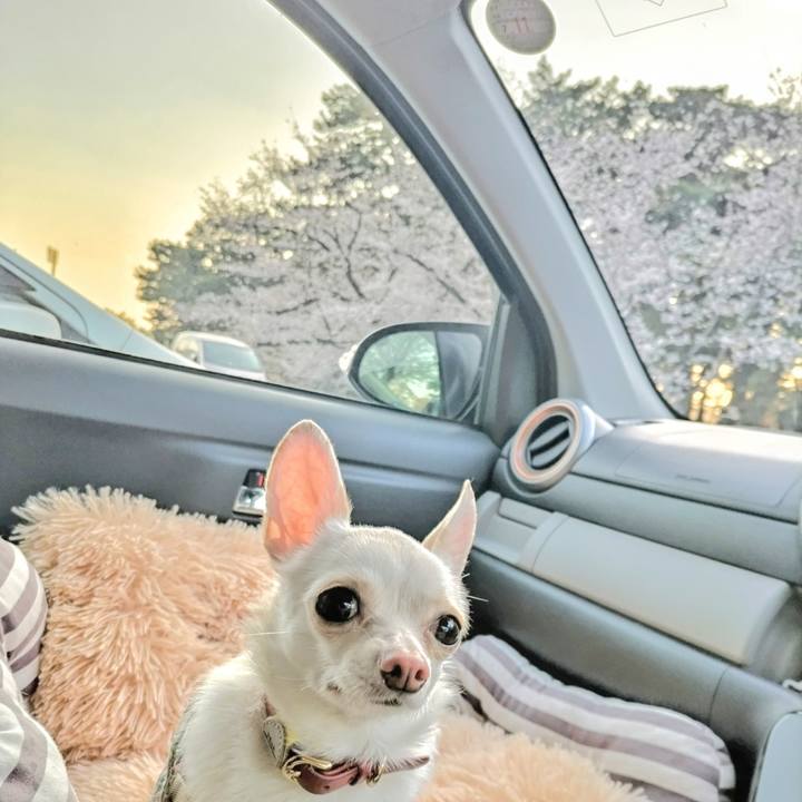 405982ab 6b88 49ee be55 8ace73ea86b0 1744015914557