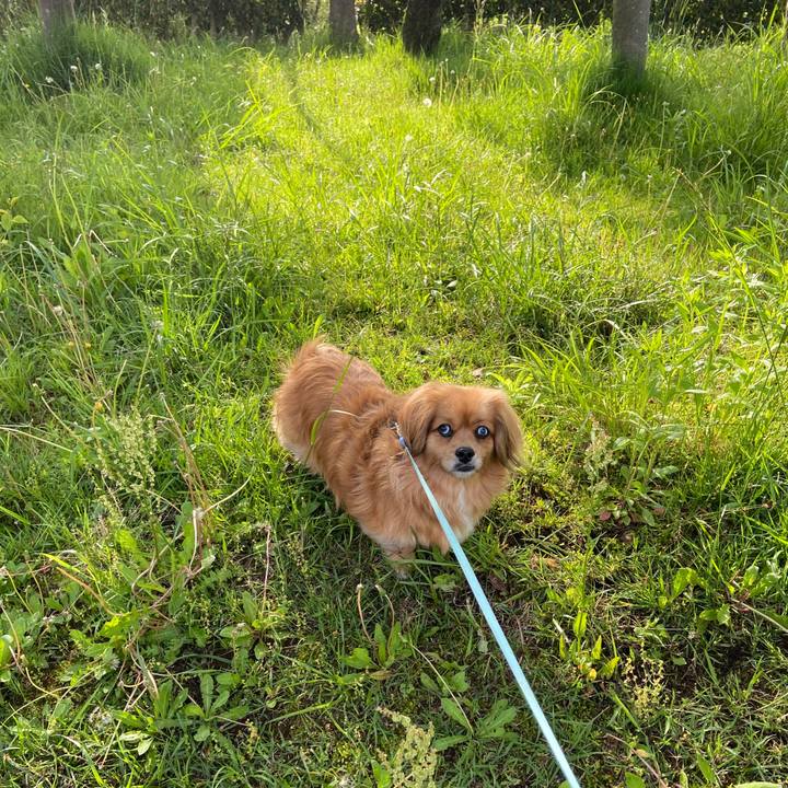 40598d53 84e7 403a acc1 42450204a10e 1619826335642