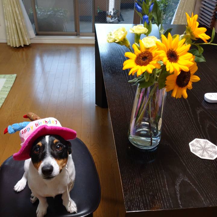 4059938b f151 426e a354 e4781adcd35e 1628991299209