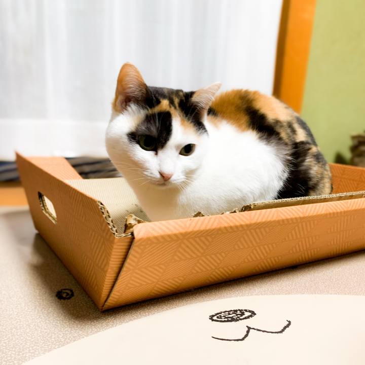 4059988f fb2e 4a77 beb8 382657b03967 1587002952313