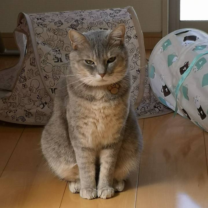 4059c097 509b 4087 8e2d 8dceae9f6d4e 1570177975595