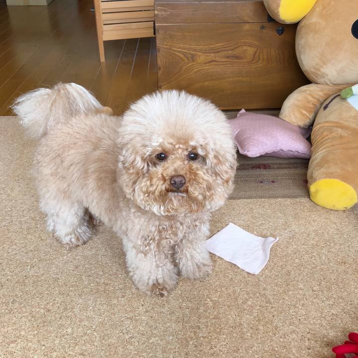 4059f9db f4cd 43cc 9279 84a8a627906c 1519879214670