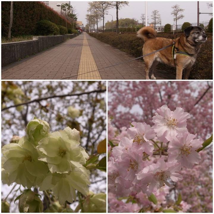 405a0f74 e33f 4423 b576 8978d3cf1fbd 1585321922466