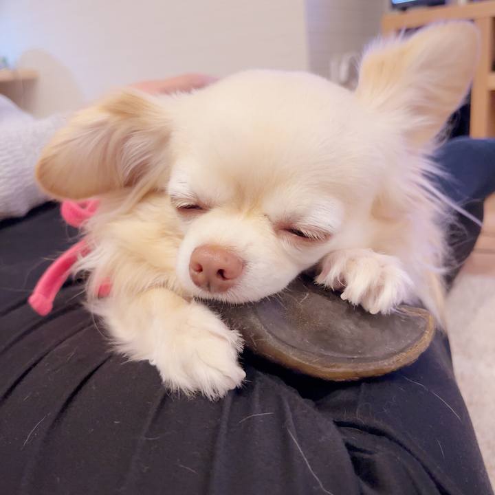 405a3768 ed9b 4f29 b0ad 2e5ef31043f4 1742102038918