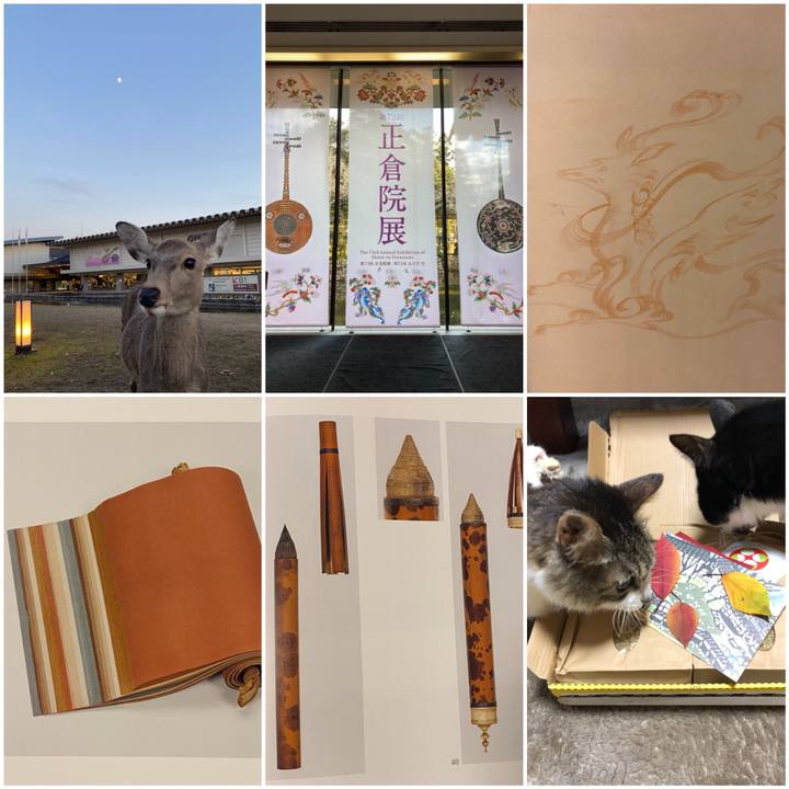 405abdef f533 433e a49b 65ac08b500a1 1636805062793