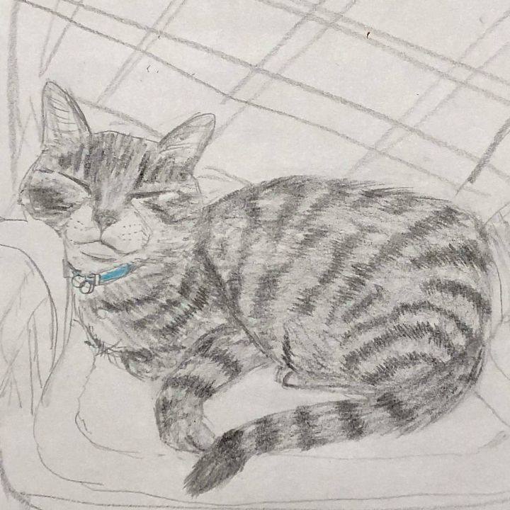 405ac369 282d 49ca b61a f673795734e6 1630533254770