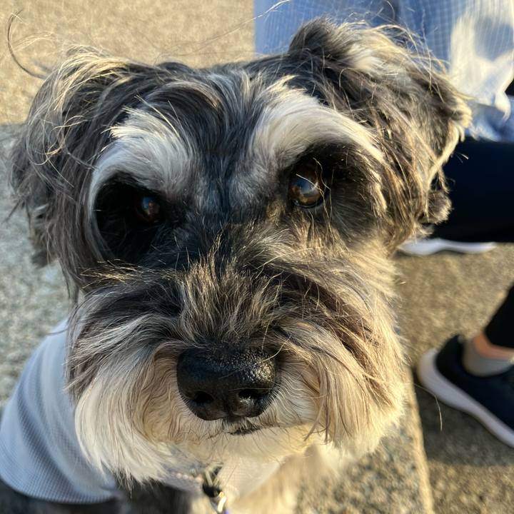 405ad122 a313 443b bad0 1f8e22c200e4 1715475709637