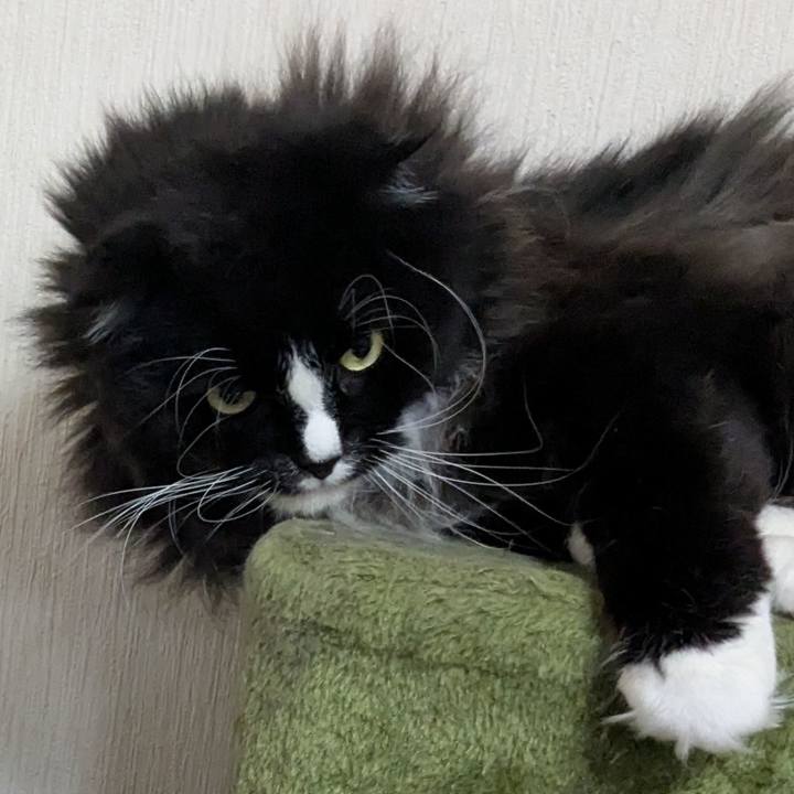 405b02f3 c1e9 4cb3 b857 db6fc384d432 1740646358248